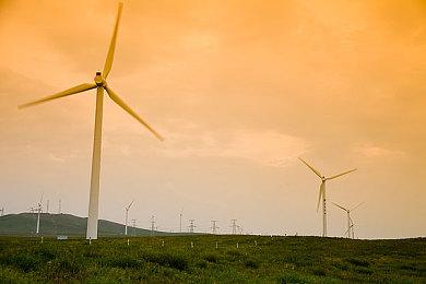 《光环无限》多人游戏不可用怎么办？使用野豹加速器轻松解决！